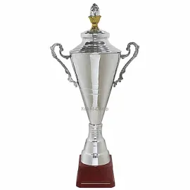 Заказать кубок с гравировкой S2174B (2) в интернет-магазине kubki-olimp.ru и cup-olimp.ru Фото 0