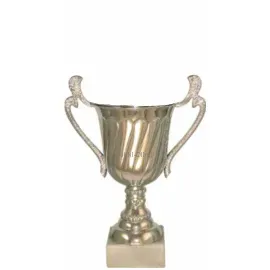 Кубок престижный P141C-S (3) без крышки в интернет-магазине kubki-olimp.ru и cup-olimp.ru Фото 0