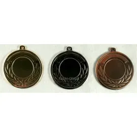 Медаль L111 G, Цвет медали: золото, Диаметр вкладыша, мм.: 25, Диаметр медали, мм.: 50, фото 