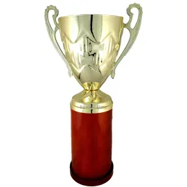 Кубок KB 6013, Цвет: золото/красный, Высота кубка, см.: 37.5, Диаметр чаши, мм.: 140, фото 