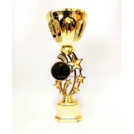 кубок наградной C6003, Цвет: золото, Высота кубка, см.: 24.5, Диаметр чаши, мм.: 80, фото 