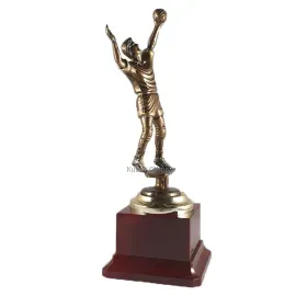 Литая фигурка RF2307 волейбол (21 см), Цвет пластиковых статуэток: бронза, Высота статуэтки, см.: 23.5, фото 