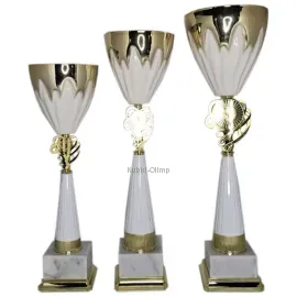 Кубок F 6454B (2), Цвет: золото/серебро, Высота кубка, см.: 42, Диаметр чаши, мм.: 120, фото 