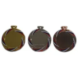 Медаль РУС 719 G (70мм), Цвет медали: золото, фото 