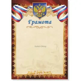 Грамота за участие в спортивной жизни школы грамота Россия 293 в интернет-магазине kubki-olimp.ru и cup-olimp.ru Фото 0