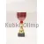 Надпись на кубке победителя соревнований наградной C6001 RD D в интернет-магазине kubki-olimp.ru и cup-olimp.ru Фото 0