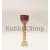 Подарочный кубок с индивидуальной гравировкой наградной CT6002RD A в интернет-магазине kubki-olimp.ru и cup-olimp.ru Фото 0