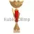 Кубки наградные спортивные 4137A в интернет-магазине kubki-olimp.ru и cup-olimp.ru Фото 0