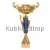 Купить кубок для награждения 4134C (2) в интернет-магазине kubki-olimp.ru и cup-olimp.ru Фото 0