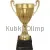 Заказать кубок с гравировкой 3031B (2) в интернет-магазине kubki-olimp.ru и cup-olimp.ru Фото 0