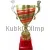 Купить подарочный кубок 1026F (6) в интернет-магазине kubki-olimp.ru и cup-olimp.ru Фото 0