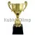 Заказать кубок с надписью РУС1109G (7) в интернет-магазине kubki-olimp.ru и cup-olimp.ru Фото 0