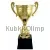 Заказать кубок с надписью РУС1109B (2) в интернет-магазине kubki-olimp.ru и cup-olimp.ru Фото 0