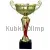 Надпись на кубке 7049D-G (4) в интернет-магазине kubki-olimp.ru и cup-olimp.ru Фото 0