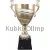 Подарочный кубок 1024 в интернет-магазине kubki-olimp.ru и cup-olimp.ru Фото 0