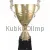 Купить подарочный кубок 1029C (3) в интернет-магазине kubki-olimp.ru и cup-olimp.ru Фото 0