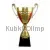 Купить в магазине медалей, кубков и наградной продукции кубок 1034c (3) в интернет-магазине kubki-olimp.ru и cup-olimp.ru Фото 0