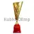 Кубок с гравировкой на заказ и cup-olimp.ru Кубок 1015C (3) в интернет-магазине kubki-olimp.ru и cup-olimp.ru Фото 0