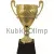 Заказать кубок с гравировкой 3110D (4) в интернет-магазине kubki-olimp.ru и cup-olimp.ru Фото 0