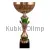 Надпись на кубке победителя соревнований 4050F (6) в интернет-магазине kubki-olimp.ru и cup-olimp.ru Фото 0
