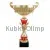 Заказать кубок с надписью 4097D (4) в интернет-магазине kubki-olimp.ru и cup-olimp.ru Фото 0