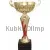 Кубки наградные спортивные 7054C-G (3) в интернет-магазине kubki-olimp.ru и cup-olimp.ru Фото 0
