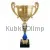 Подарочные кубки и статуэтки с гравировкой РУС1115F (6) в интернет-магазине kubki-olimp.ru и cup-olimp.ru Фото 0