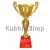 Купить спортивный кубок 3117A (1) в интернет-магазине kubki-olimp.ru и cup-olimp.ru Фото 0