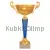 Сделать гравировку на кубке 7110C (3) в интернет-магазине kubki-olimp.ru и cup-olimp.ru Фото 0