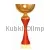 Купить кубок для награждения 7116C (3) в интернет-магазине kubki-olimp.ru и cup-olimp.ru Фото 0