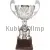 Заказать кубок с гравировкой 3088_2К в интернет-магазине kubki-olimp.ru и cup-olimp.ru Фото 0