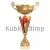 Купить кубок с надписью 4145E (5) в интернет-магазине kubki-olimp.ru и cup-olimp.ru Фото 0