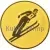 Вкладыш лыжи D2 A95  в медали за места в интернет-магазине kubki-olimp.ru и cup-olimp.ru Фото 0