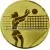 Спортивные вкладыш женский волейбол am2-20-g в медали цены каталог в интернет-магазине kubki-olimp.ru и cup-olimp.ru Фото 0