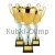Кубок престижный D2049A в интернет-магазине kubki-olimp.ru и cup-olimp.ru Фото 0