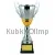 Кубки наградные спортивные D2037C в интернет-магазине kubki-olimp.ru и cup-olimp.ru Фото 0