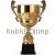 Сделать гравировку на кубке R2007A в интернет-магазине kubki-olimp.ru и cup-olimp.ru Фото 0