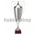 Заказать кубок с надписью R1042-N C в интернет-магазине kubki-olimp.ru и cup-olimp.ru Фото 0