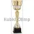 Бюджетный  Кубок R4004D в интернет-магазине kubki-olimp.ru и cup-olimp.ru Фото 0