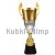 Купить в магазине медалей, кубков и наградной продукции кубок r3105b в интернет-магазине kubki-olimp.ru и cup-olimp.ru Фото 0
