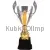 кубок наградной  R4121 F в интернет-магазине kubki-olimp.ru и cup-olimp.ru Фото 0