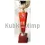 Кубок Н 6020C (3)хоккей, Цвет: золото/красный, Высота кубка, см.: 35.5, Диаметр чаши, мм.: 120, фото , изображение 2