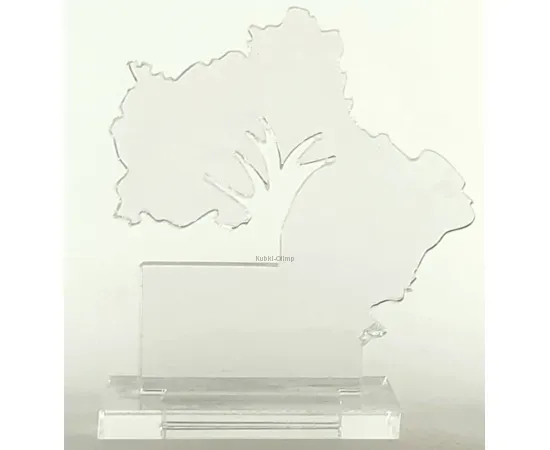 Персонализированная награда из прозрачного акрила в интернет-магазине kubki-olimp.ru и cup-olimp.ru Фото 0