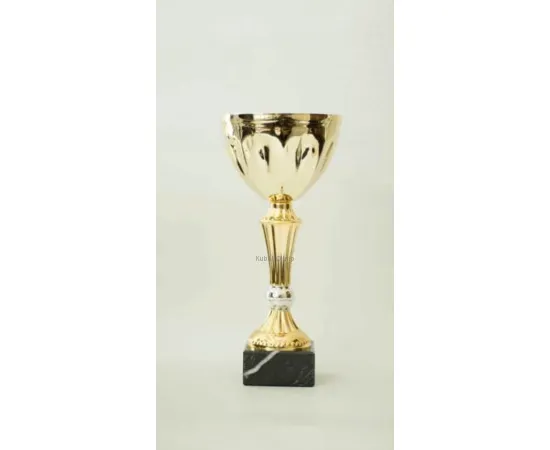 Кубки наградные спортивные С6010.1 в интернет-магазине kubki-olimp.ru и cup-olimp.ru Фото 0