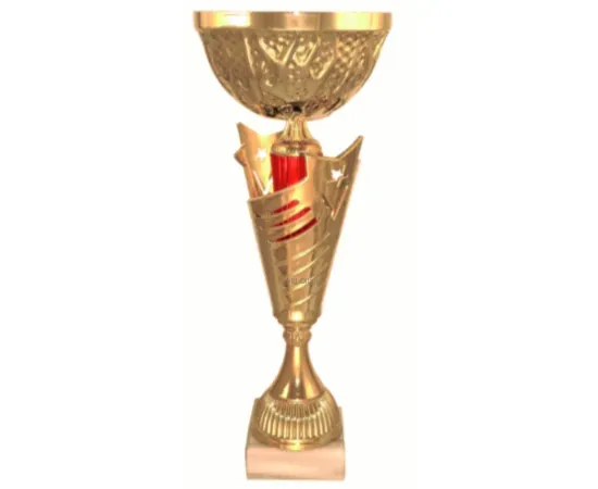 Кубок с надписью на заказ 4141B (2) в интернет-магазине kubki-olimp.ru и cup-olimp.ru Фото 0