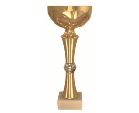 Заказать кубок с надписью P398C в интернет-магазине kubki-olimp.ru и cup-olimp.ru Фото 0
