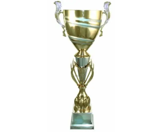 Кубок с надписью на заказ 3097D (4) в интернет-магазине kubki-olimp.ru и cup-olimp.ru Фото 0