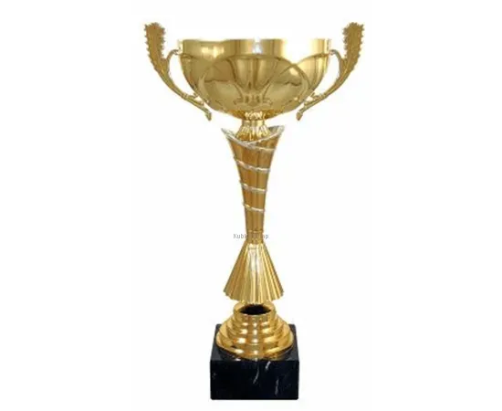 Кубок с надписью на заказ 4074D (4) в интернет-магазине kubki-olimp.ru и cup-olimp.ru Фото 0