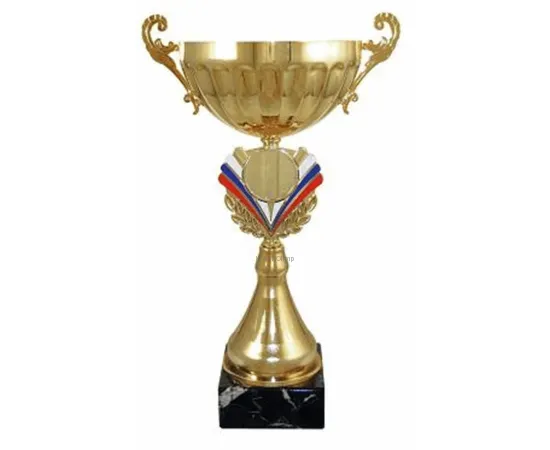 Купить кубок для награждения 4088F (6) в интернет-магазине kubki-olimp.ru и cup-olimp.ru Фото 0
