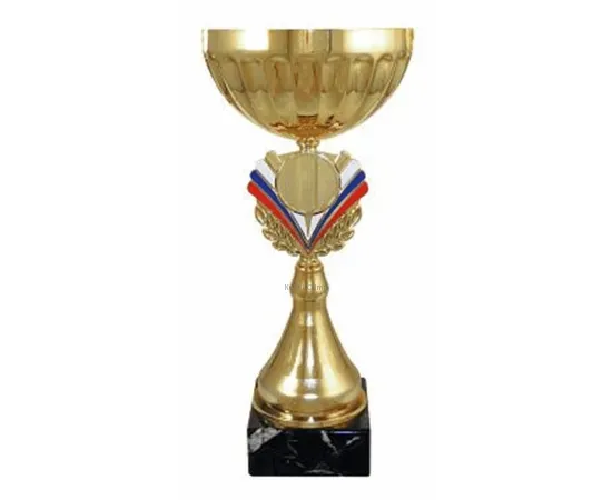 Бюджетный  Кубок 4089E (5) в интернет-магазине kubki-olimp.ru и cup-olimp.ru Фото 0